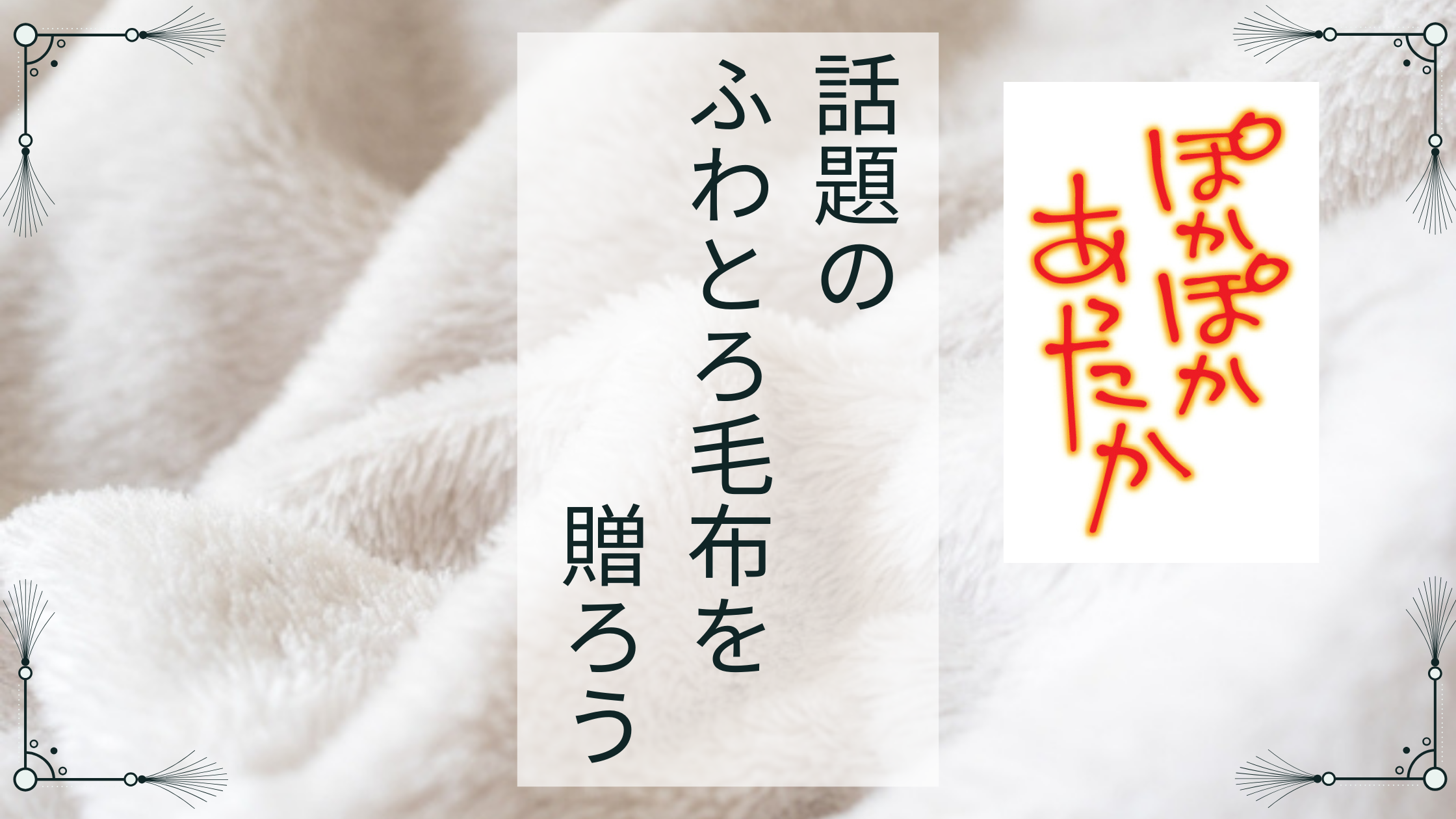 話題のふわとろ毛布を贈ろう